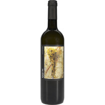 Lilium Bianco di Merlot 2023