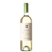 S'Elegas Nuragus di Cagliari 2024