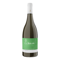 Sauvignon Blanc 2024