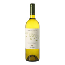 Terre Alte Bianco 2024