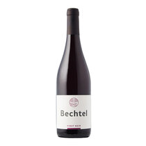 Pinot Noir Sélection 2023
