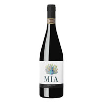 Anima Mia Barbera D'Asti DOCG 2024