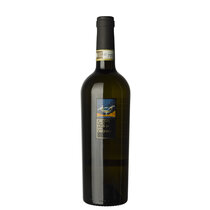 Greco di Tufo DOCG 2025- Linea Classica