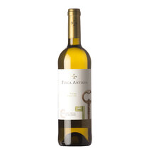 Finca Antigua Blanco 2025