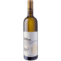 Ribolla Gialla Collio 2025