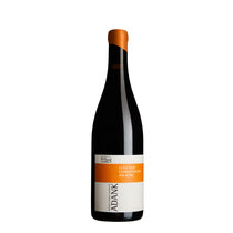 Fläscher Chardonnay 'Am Berg' 2024