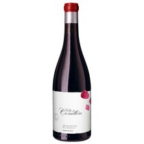 Villa de Corullón 2013