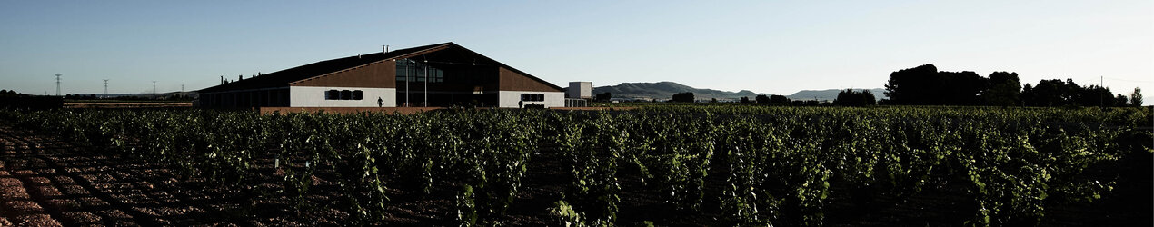 Bodegas Barahonda