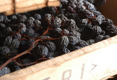 Property Speri Viticoltori