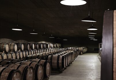 Property Telmo Rodríguez