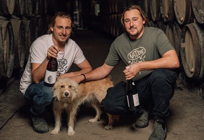 Property Niepoort Vinhos