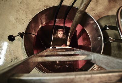 Property Celler de Capçanes