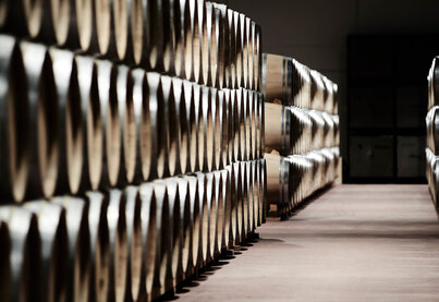 Property San Román Bodegas y Viñedos