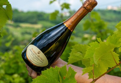 Property Borgo Antico