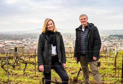 Terroir Champagne Deutz