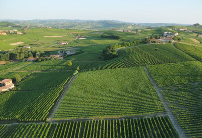 Terroir Cascina Castlèt