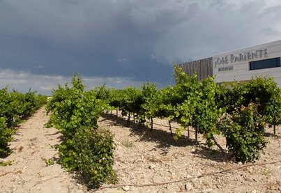 Terroir Bodegas José Pariente