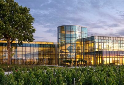 Terroir Château Lynch-Bages