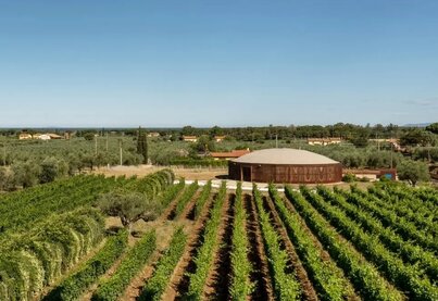 Terroir Campo alle Comete