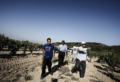 Terroir Bodega Contador