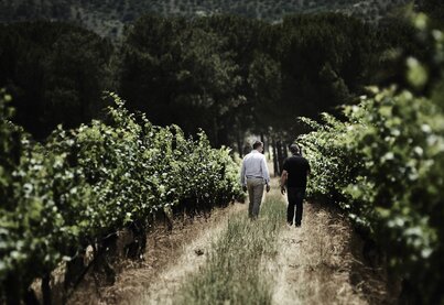 Terroir Finca Villacreces