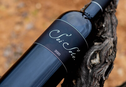 Terroir Bodegas Sei Solo