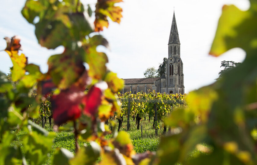 29. Januar 2026 | Eine Reise durch Bordeaux | Varathans25 Sursee