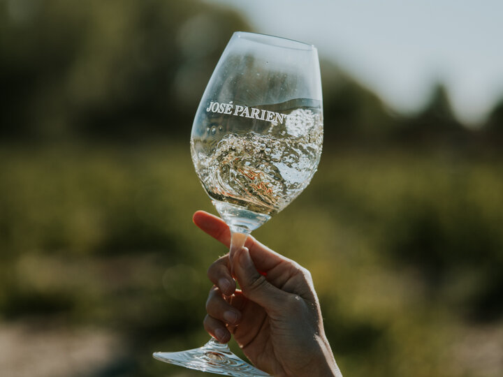 Wine & Dine mit Bodegas José Pariente | Gasthof zum Roten Löwen