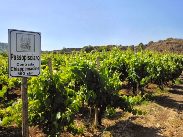 Passopisciaro – L’esprit pionnier entre lave et ciel