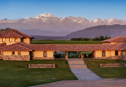 Finca Decero - Remolinos Vineyard