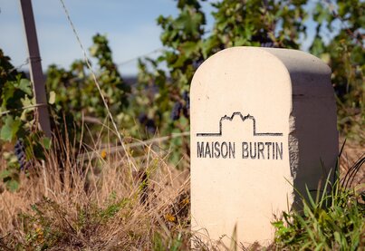 Maison Burtin