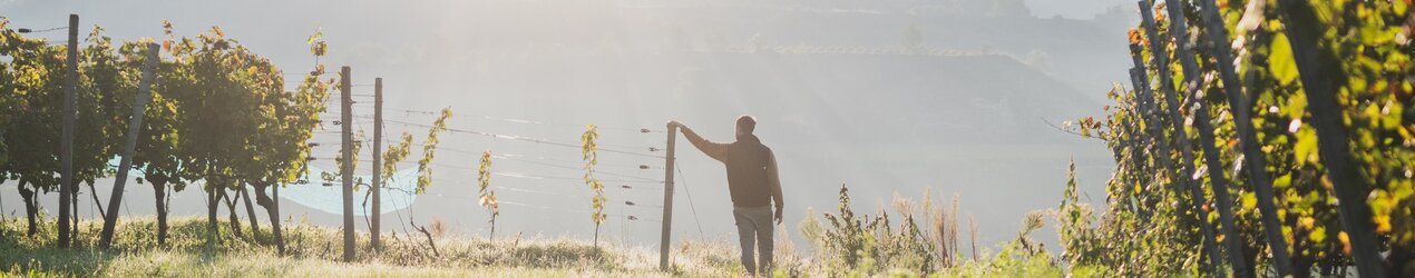 Weingut Peter Wagner