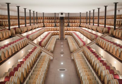 Geschichte Vinattieri