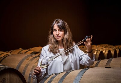 Geschichte Bodegas José Pariente