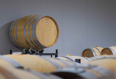 Geschichte Bodegas Sei Solo