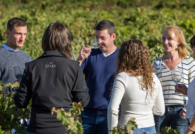 Property Bodegas Izadi