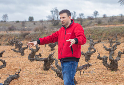 Property Bodegas Sei Solo