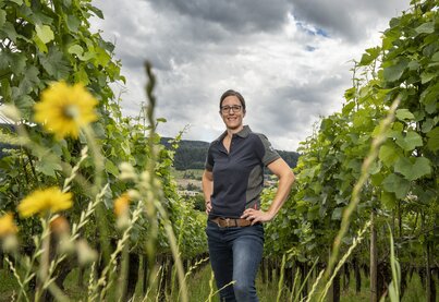 Property Weingut Nadine Saxer
