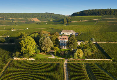 Terroir Louis Latour