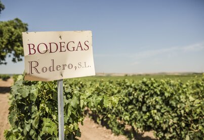 Terroir Bodegas Rodero