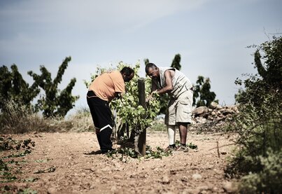 Terroir Villa Conchi