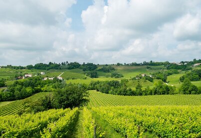 Terroir Borgo Antico