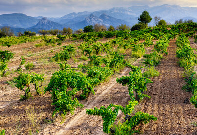 Terroir Herència Altés