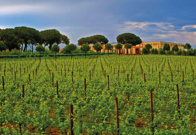 Terroir Rocca di Montemassi