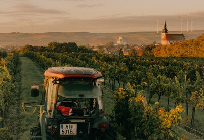 Terroir Weingut Ebner-Ebenauer