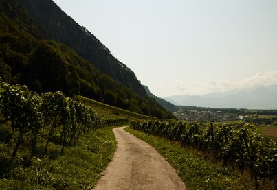 Terroir Weingut Familie Hansruedi Adank