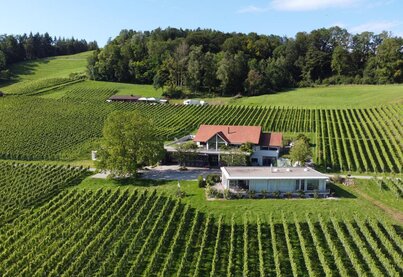Terroir Weingut Nadine Saxer
