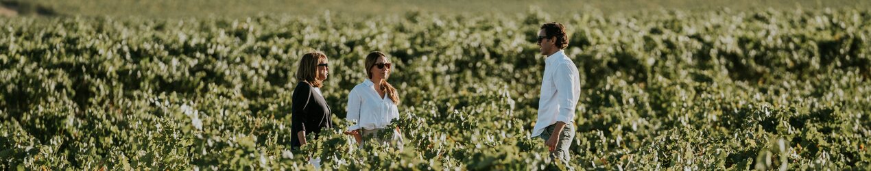 Bodegas José Pariente