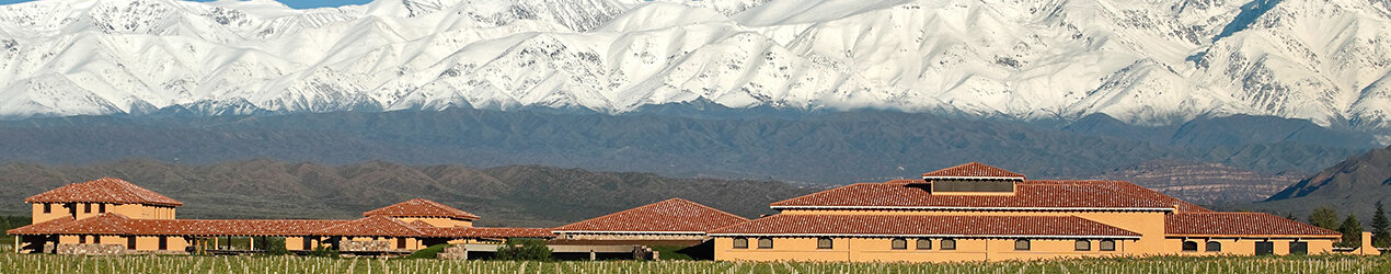 Finca Decero - Remolinos Vineyard