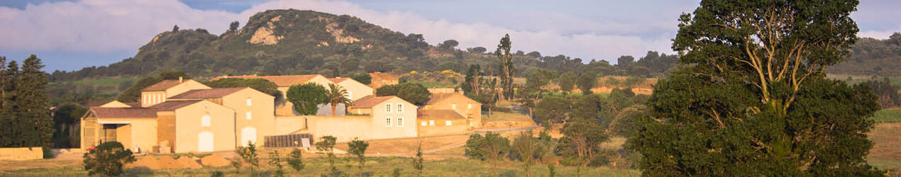 Domaine d'Aussières-Domaines Barons de Rothschild